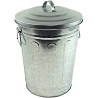 Steven Raichlen Cubo de Basura Galvanizado- Plateado- 27.69x27.69x34.67 cm- SR8012